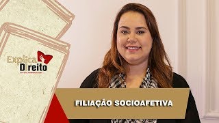 Explica Direito Filiação Socioafetiva  2019 [upl. by Yehus]