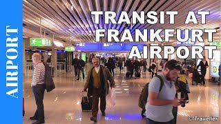 TRANSIT WALK AT FRANKFURT Airport FRA Terminal 1  Connection Flight Transfer Arriving amp Departing [upl. by Enneira]